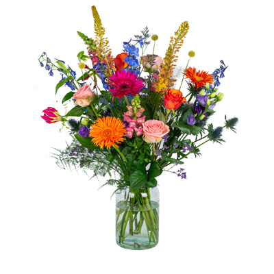 product_170127070443