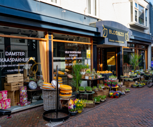 Bloei enzo appingedam delfzijl