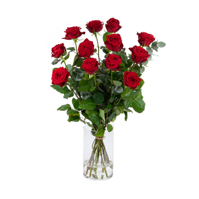Rode rozen 70cm